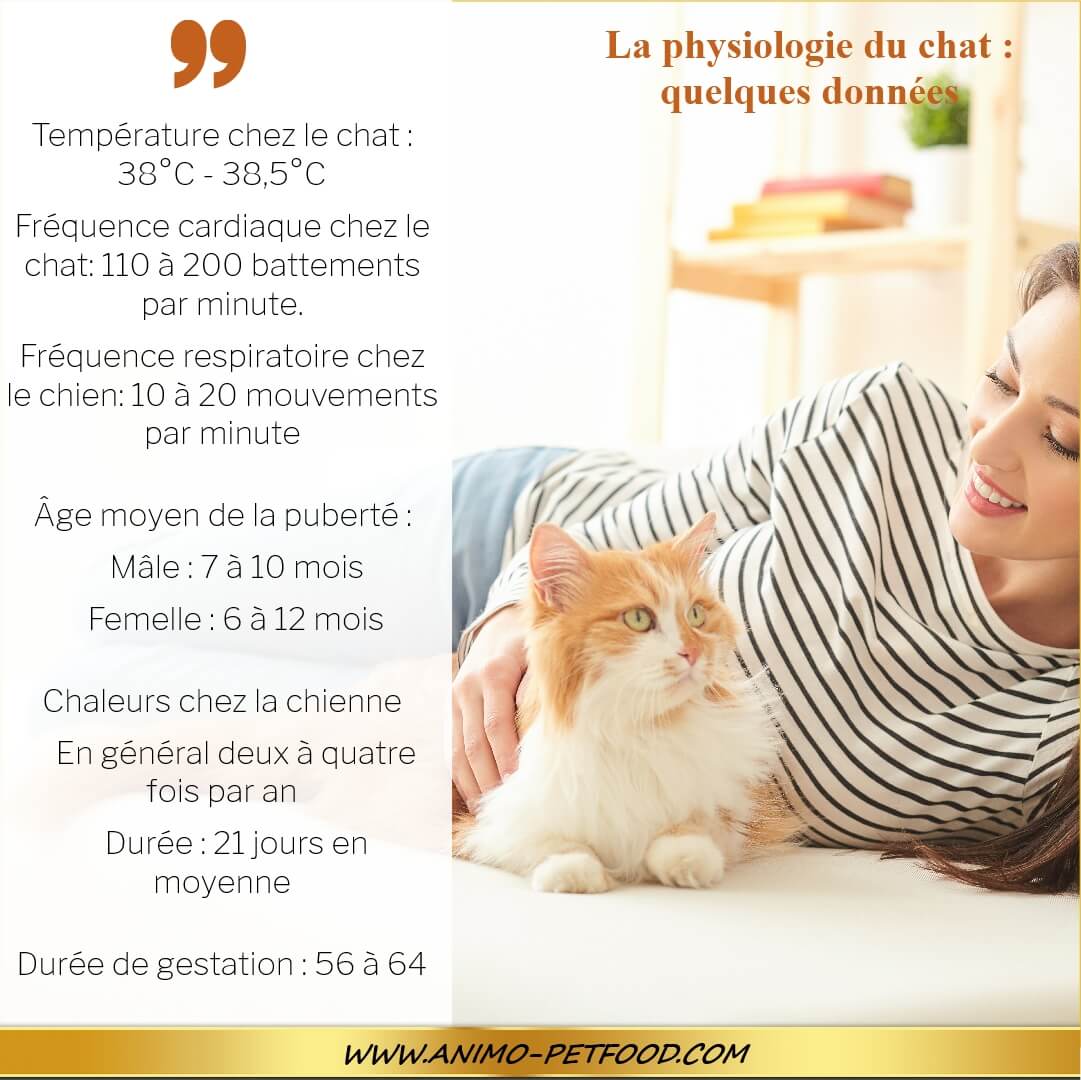 constantes physiologiques chat